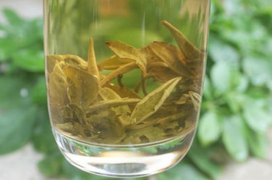 茉莉龍珠泡開后為什么都是梗，茉莉龍珠泡開后什么樣？