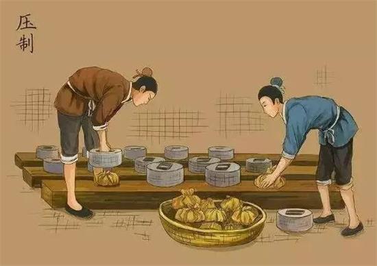 制茶八步驟，制茶工藝流程圖