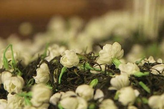 蒸茶器可以蒸花茶嗎，蒸茶器能用來蒸茉莉花茶嗎？