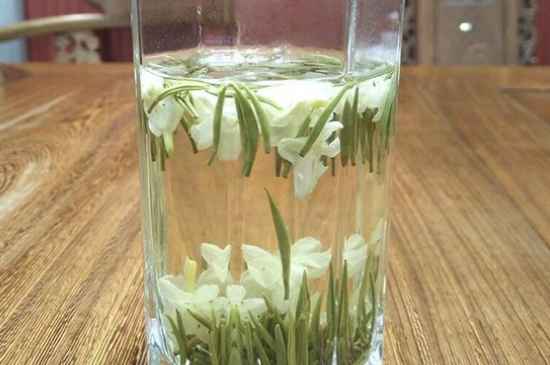 女孩喝茉莉茶的好處，茉莉茶葉的功效與禁忌