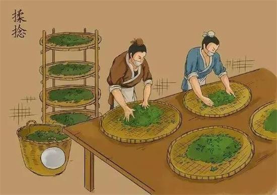 制茶八步驟，制茶工藝流程圖