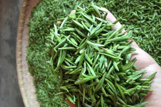 采茶的方法與步驟，如何正確采摘茶葉？