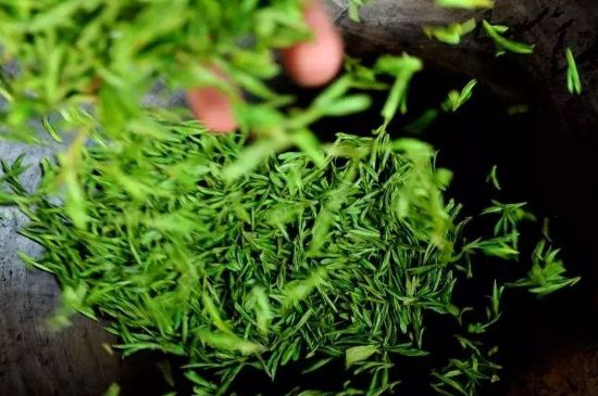 龍井茶炒茶葉怎么炒出好茶色，茶葉怎樣做出來最綠？