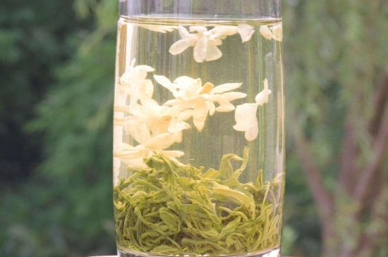 茉莉龍珠可以和什么一起泡茶，茉莉龍珠茶能加蜂蜜嗎？