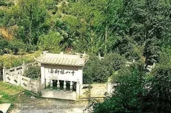 母樹大紅袍給誰喝了，為什么母樹大紅袍叫三棵六株？