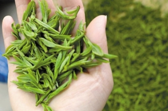 潮汕炒茶屬于什么茶，潮汕炒茶是綠茶嗎？