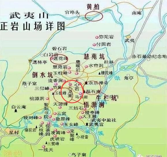 母樹大紅袍給誰喝了，為什么母樹大紅袍叫三棵六株？