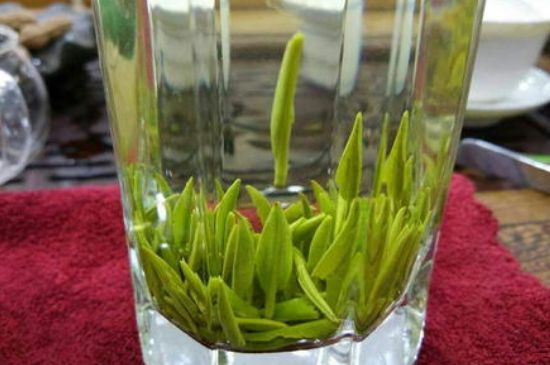 雀舌有一股青草味，雀舌為什么有青草味？