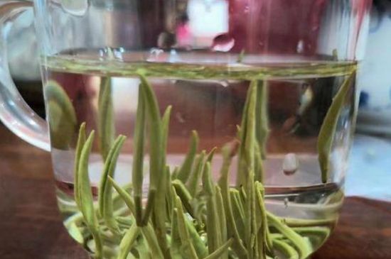踏雪蘭妃是什么茶，踏雪蘭妃是哪里的茶葉?