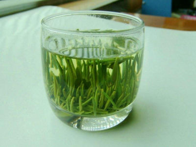 竹葉青茶怎么樣，檔次較高味道略苦價格比較貴