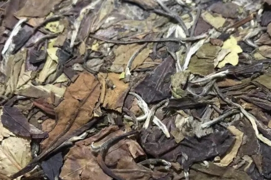 老白茶上火還是去火？夏季喝煮的老白茶會容易上火！