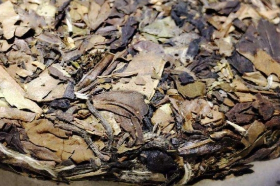 煮茶的步驟圖解，正確的煮白茶方法！
