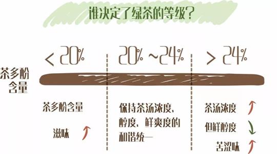 什么綠茶口味重口感濃郁，口味比較重的綠茶都有那些？