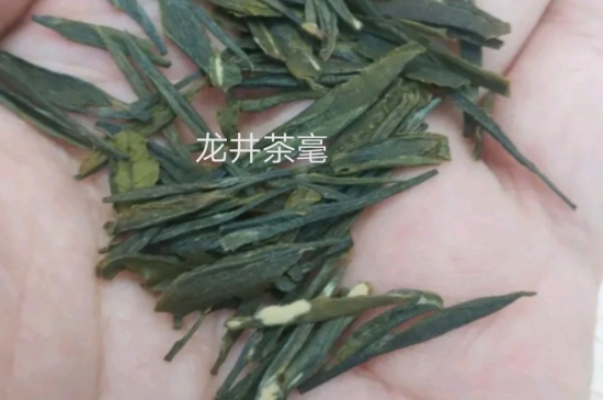 西湖龍井茶毫和發(fā)霉區(qū)別圖片，長(zhǎng)霉的龍井茶葉會(huì)是什么樣？