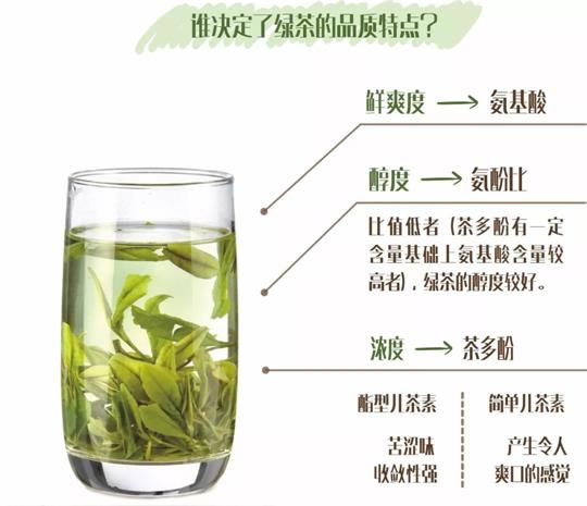 什么綠茶口味重口感濃郁，口味比較重的綠茶都有那些？
