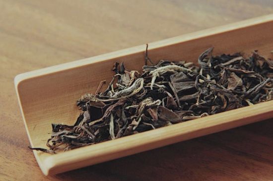 怎么撬老白茶茶餅不容易碎，福鼎白茶如何撬茶方法