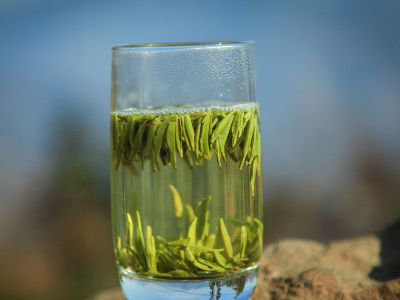 竹葉青茶怎么樣，檔次較高味道略苦價格比較貴