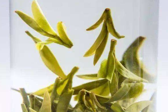 烏牛早和龍井的區(qū)別圖片，龍井43號和烏牛早茶的對比