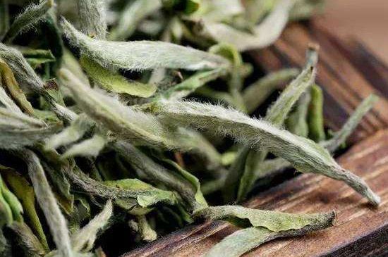 荒野銀針有什么特點(diǎn)，荒野銀針的味道口感咋樣？