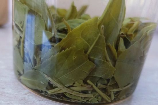 綠茶陳茶和新茶區(qū)別，綠茶怎樣區(qū)分新茶和陳茶