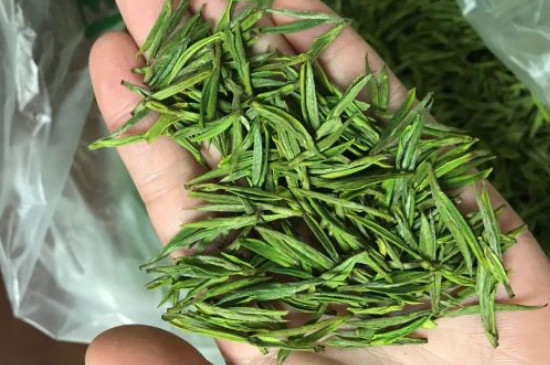 什么綠茶茶葉唇齒留香，哪個品種綠茶香氣好？