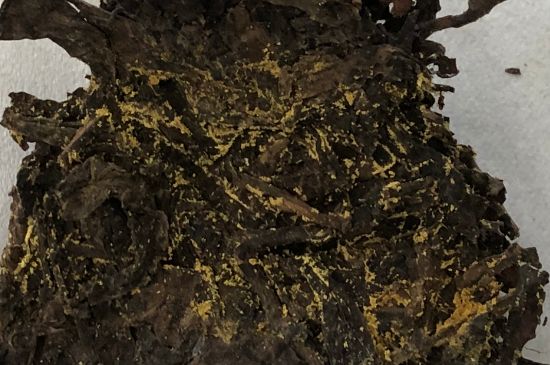 怎么知道涇渭茯茶是否變質(zhì)，茯磚茶金花和發(fā)霉的區(qū)別