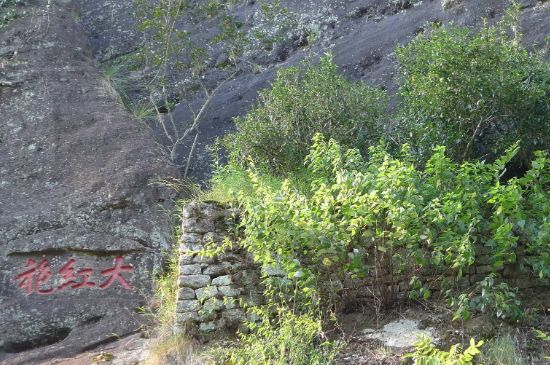 母樹大紅袍給誰喝了，為什么母樹大紅袍叫三棵六株？
