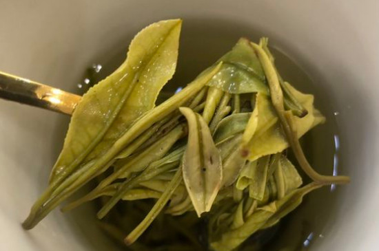 新舊白茶怎么區(qū)分，怎么分辨白茶是新還是舊