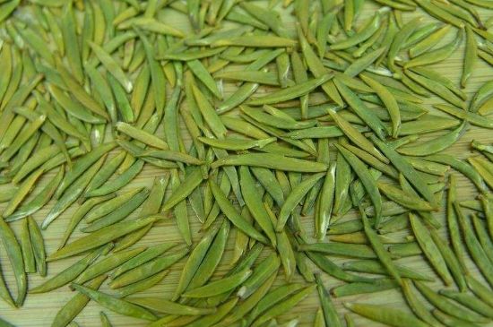 竹葉青和毛尖的區(qū)別，毛尖和竹葉青怎么分辨？