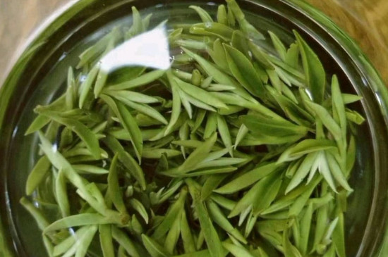 什么綠茶茶葉唇齒留香，哪個品種綠茶香氣好？