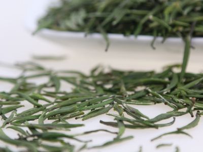 霍山黃芽算是好茶嗎，霍山黃芽屬于什么茶？