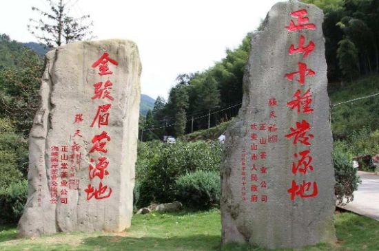300塊錢的金駿眉能喝嗎，兩三百多金駿眉和一千多區(qū)別