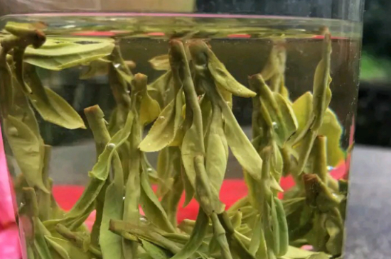 什么綠茶最香最好喝，綠茶口感與香氣排名