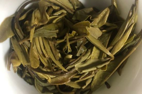 三年白茶賽砒霜，這是真的嗎？