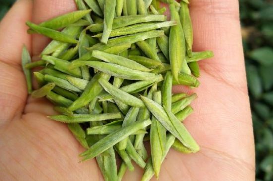 什么綠茶味道濃香，那個(gè)綠茶比較濃香？