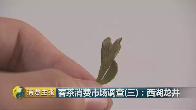 龍井群體種和43號(hào)的區(qū)別圖片，龍井43和群體種哪個(gè)好喝？