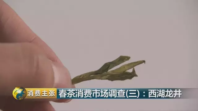 龍井群體種和43號(hào)的區(qū)別圖片，龍井43和群體種哪個(gè)好喝？