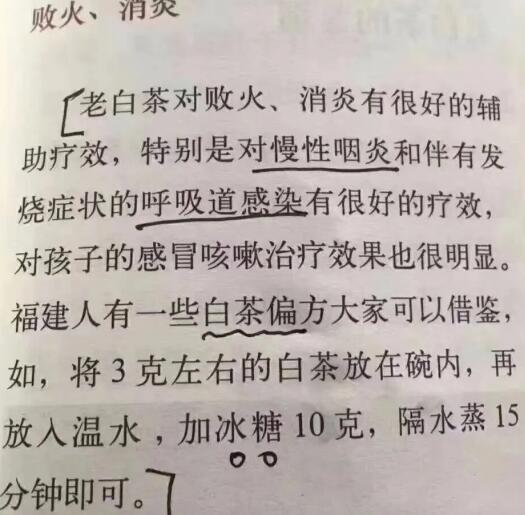 老白茶上火還是去火？夏季喝煮的老白茶會容易上火！