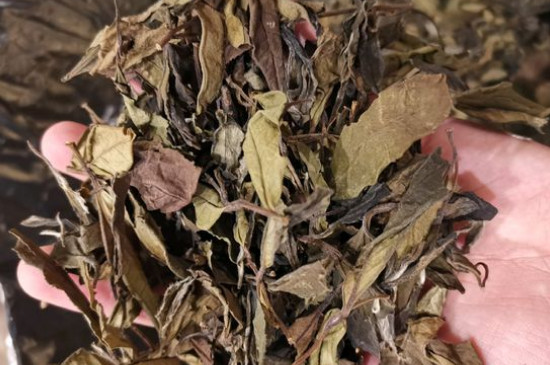 新舊白茶怎么區(qū)分，怎么分辨白茶是新還是舊