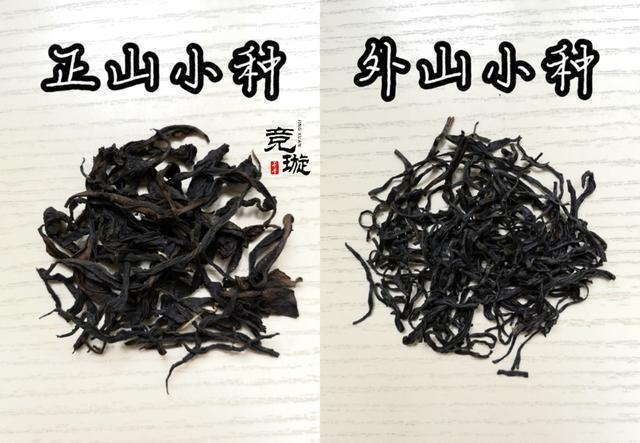 正山小種很細還很黑亮，正山小種越細越好嗎