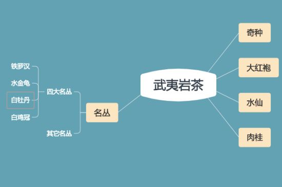 武夷巖茶品種大全，巖茶有幾種？