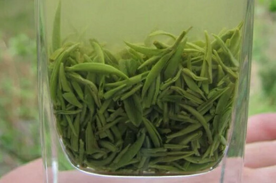 什么綠茶茶葉唇齒留香，哪個品種綠茶香氣好？