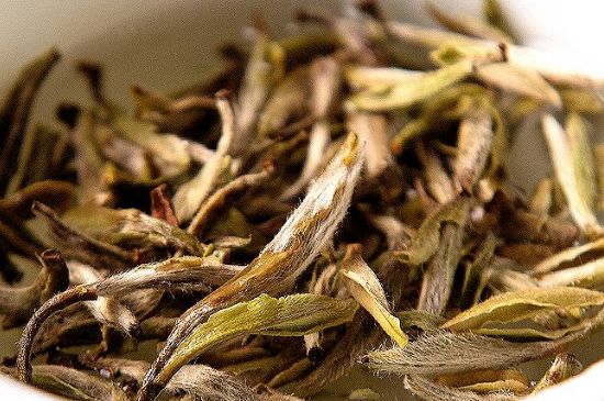 荒野銀針市場價多少，真正的荒野白毫銀針多少錢？