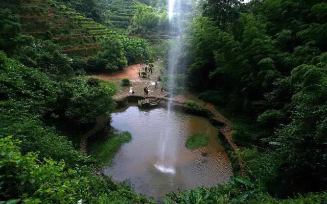武夷山為什么盛產(chǎn)茶葉，武夷山茶為什么好喝？