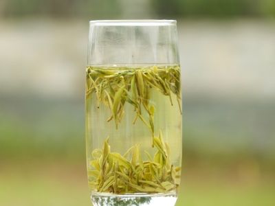 霍山黃芽算是好茶嗎，霍山黃芽屬于什么茶？