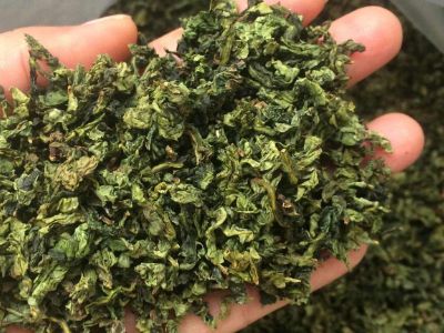 鐵觀音毛茶茶?？梢耘菟葐幔F觀音帶梗是不是好茶？