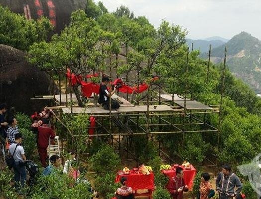 宋種一號價值為什么高，鳳凰單樅宋種1號價格與產(chǎn)量多少？