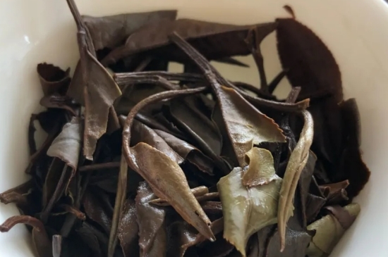 老白茶上火還是去火？夏季喝煮的老白茶會容易上火！