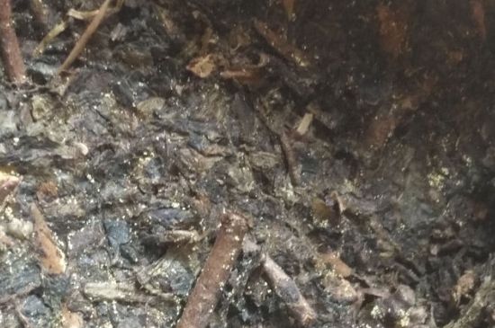 黑茶茯茶保存五大忌，茯茶收藏的注意事項