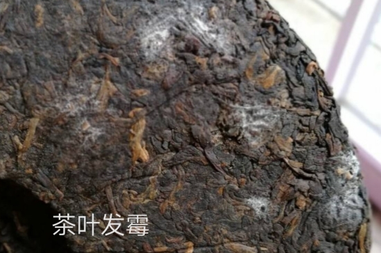 西湖龍井茶毫和發(fā)霉區(qū)別圖片，長(zhǎng)霉的龍井茶葉會(huì)是什么樣？